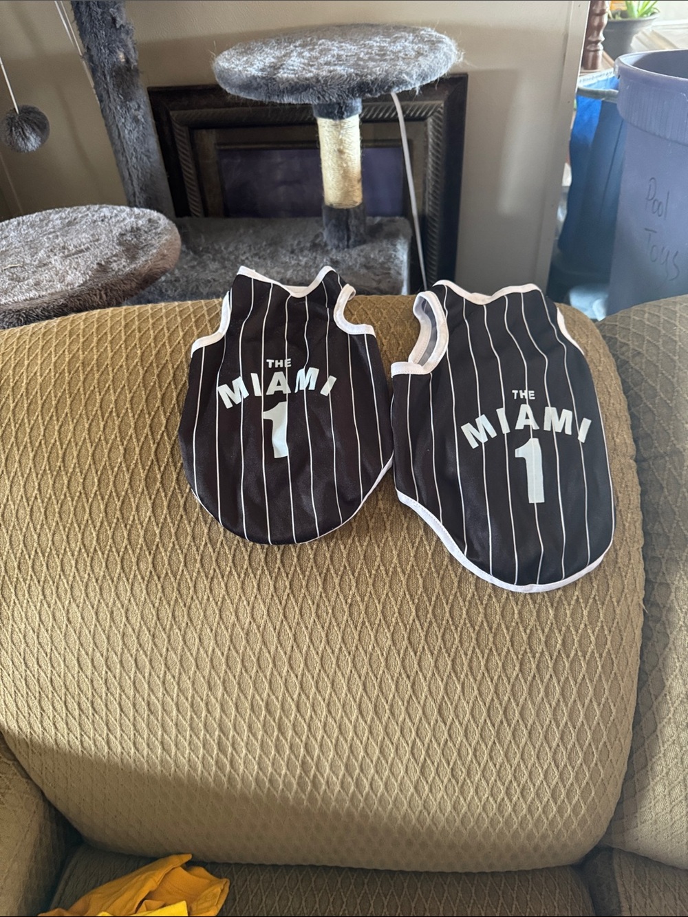 Black Pinstripe 'The Miami 1' Dog Jersey - Sporty Sleeveless Tee